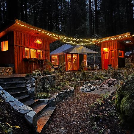 Magical Yurt In The Woods - 2 Miles From Town Hotel Nevada City Bagian luar foto