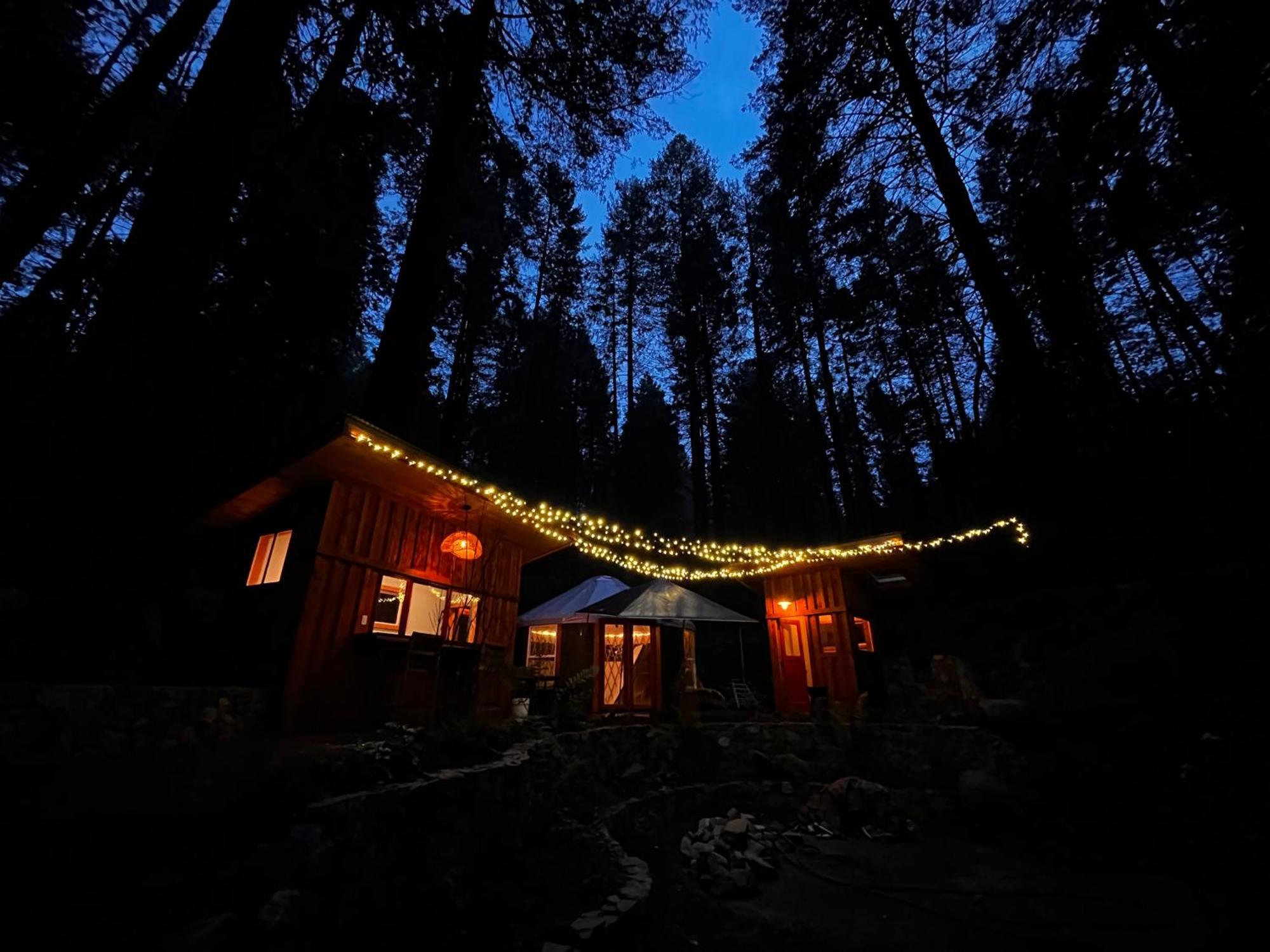 Magical Yurt In The Woods - 2 Miles From Town Hotel Nevada City Bagian luar foto