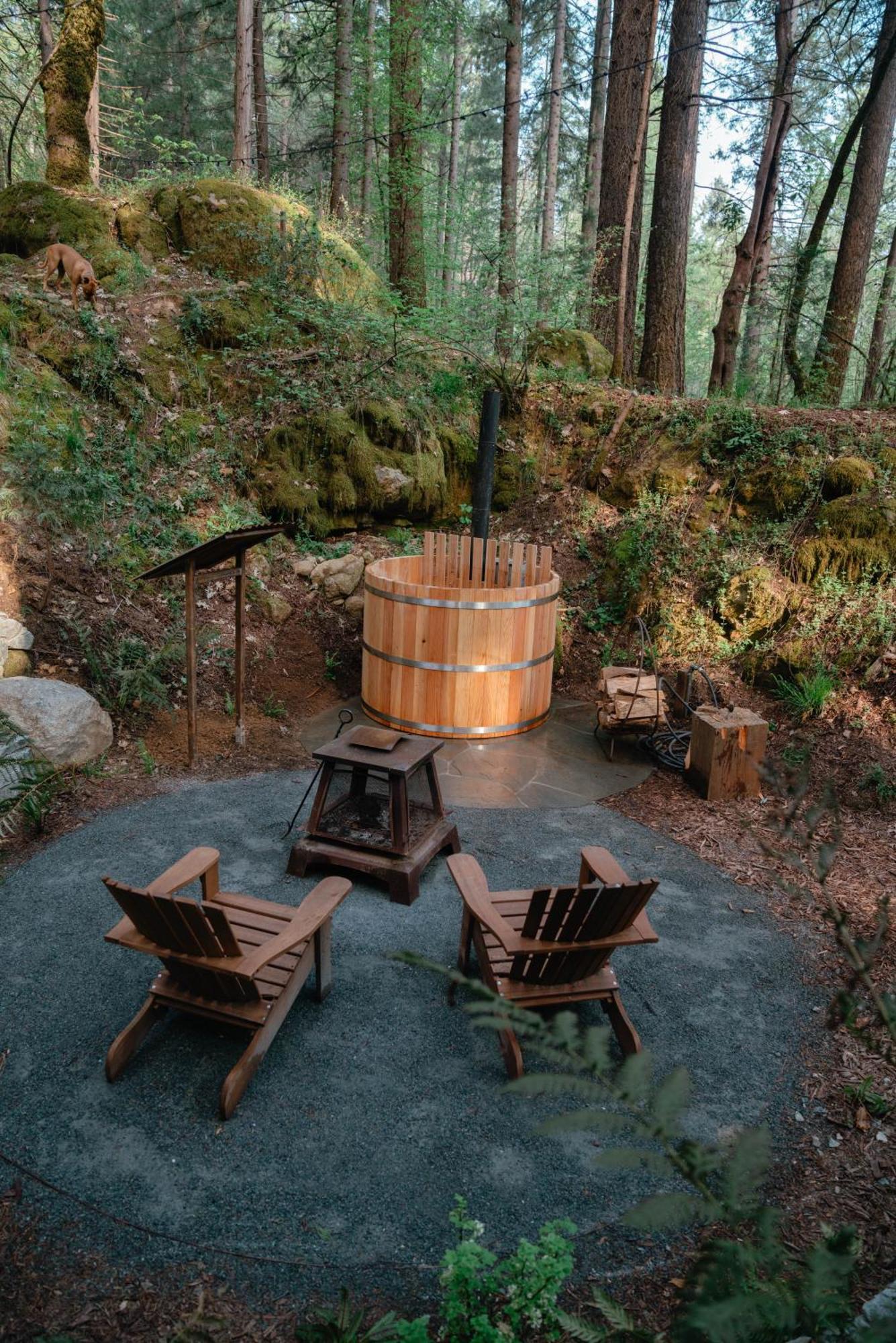 Magical Yurt In The Woods - 2 Miles From Town Hotel Nevada City Bagian luar foto