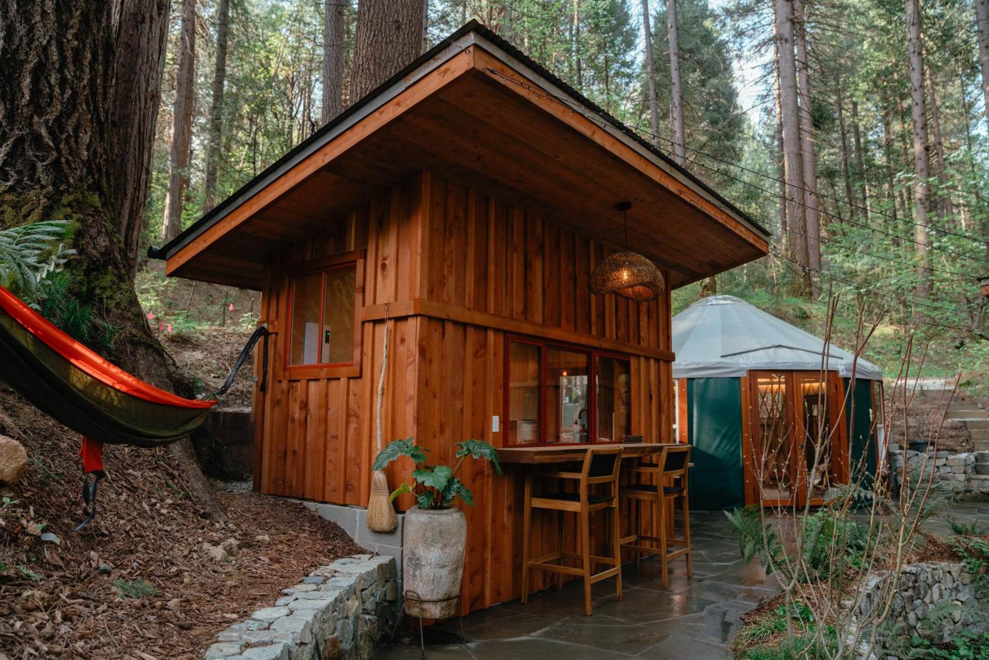 Magical Yurt In The Woods - 2 Miles From Town Hotel Nevada City Bagian luar foto